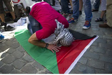 im pro palestine