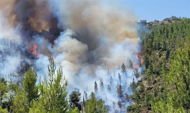 Jerusalem Suburb Evacuated As Blaze Rages Out Of Control Israel National News