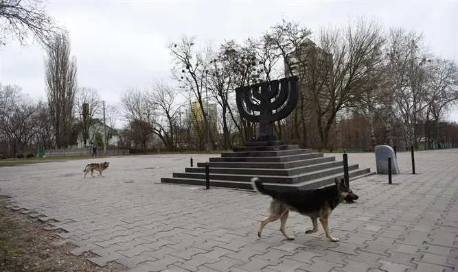 Stray dogs roam the Babi Yar monument on March 14, 2016 in Kiev