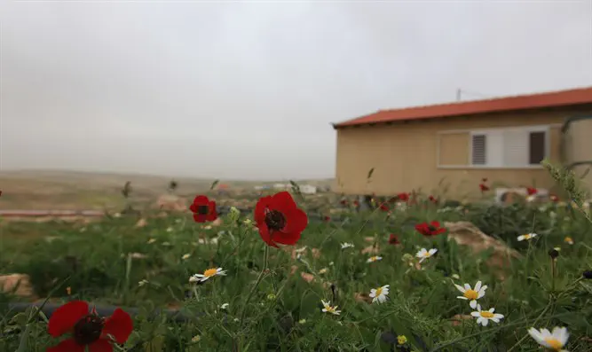 אמילי עמרוסי: לפני שביידן נכנס - להסדיר את המאחזים - חדשות ...